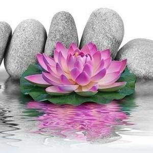 Meet your Posher, Aracely